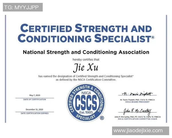 北京飞盘队耐力对比深度解析与训练策略探讨