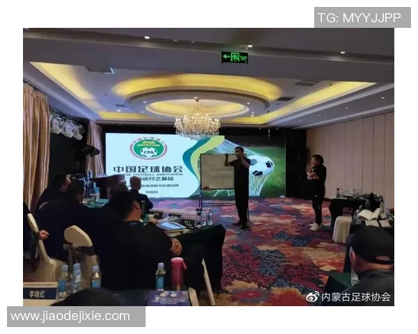 深入分析西安足球队的运营策略与发展模式探讨